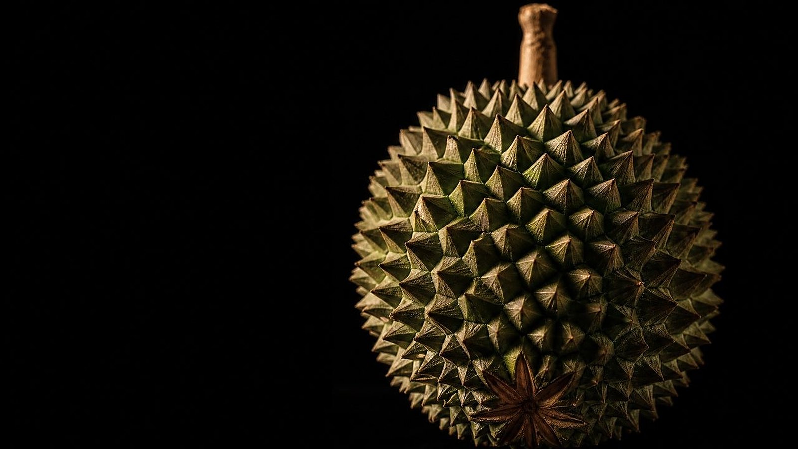 Musang King, the loud savoury durian